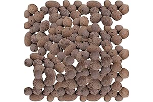 Plant Ceramsite: Breathe Life into Your Indoor Oasis