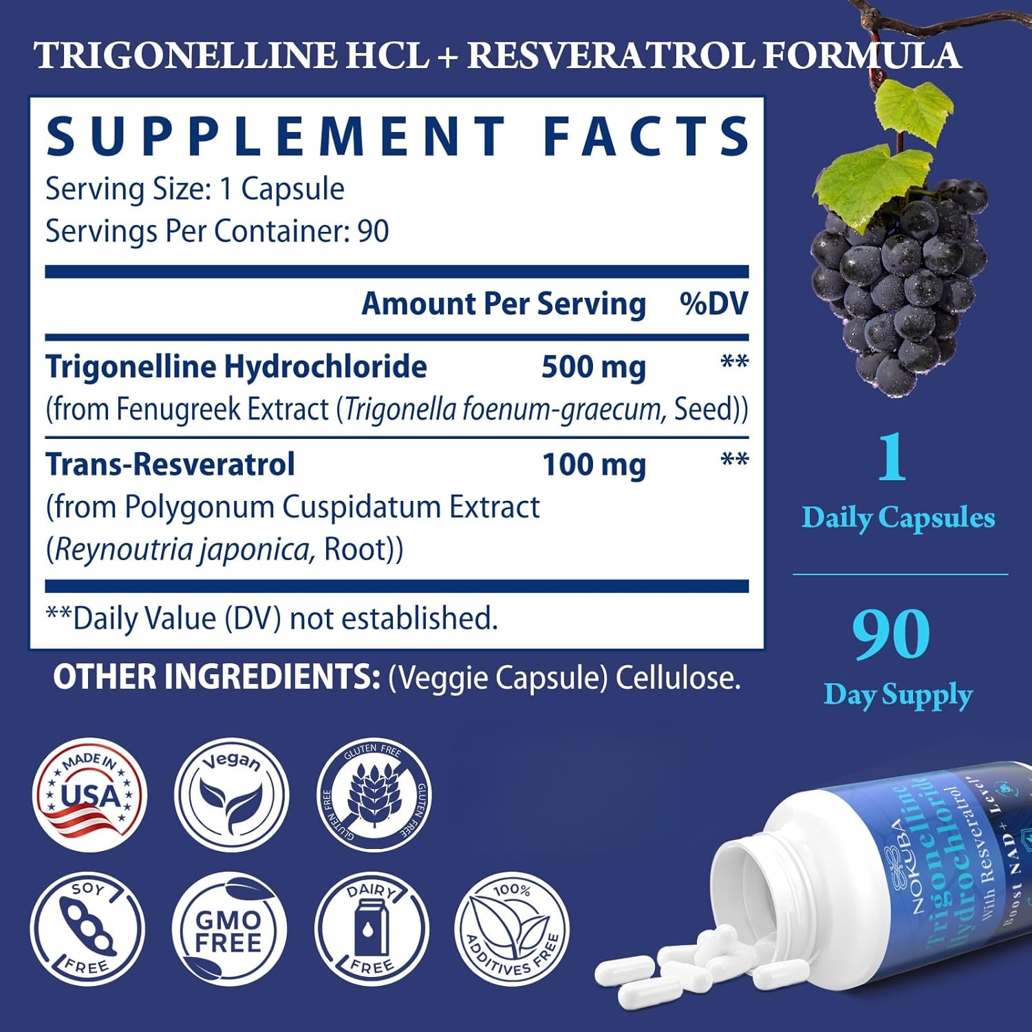 NAD Supplement - NMNH Alternative with Trigonelline HCL 500mg & Resveratrol - NAD+ Precursors Plant Extraction - Support Cellular Energy & Healthy Aging & Brain for Women & Men - 90 Capsules