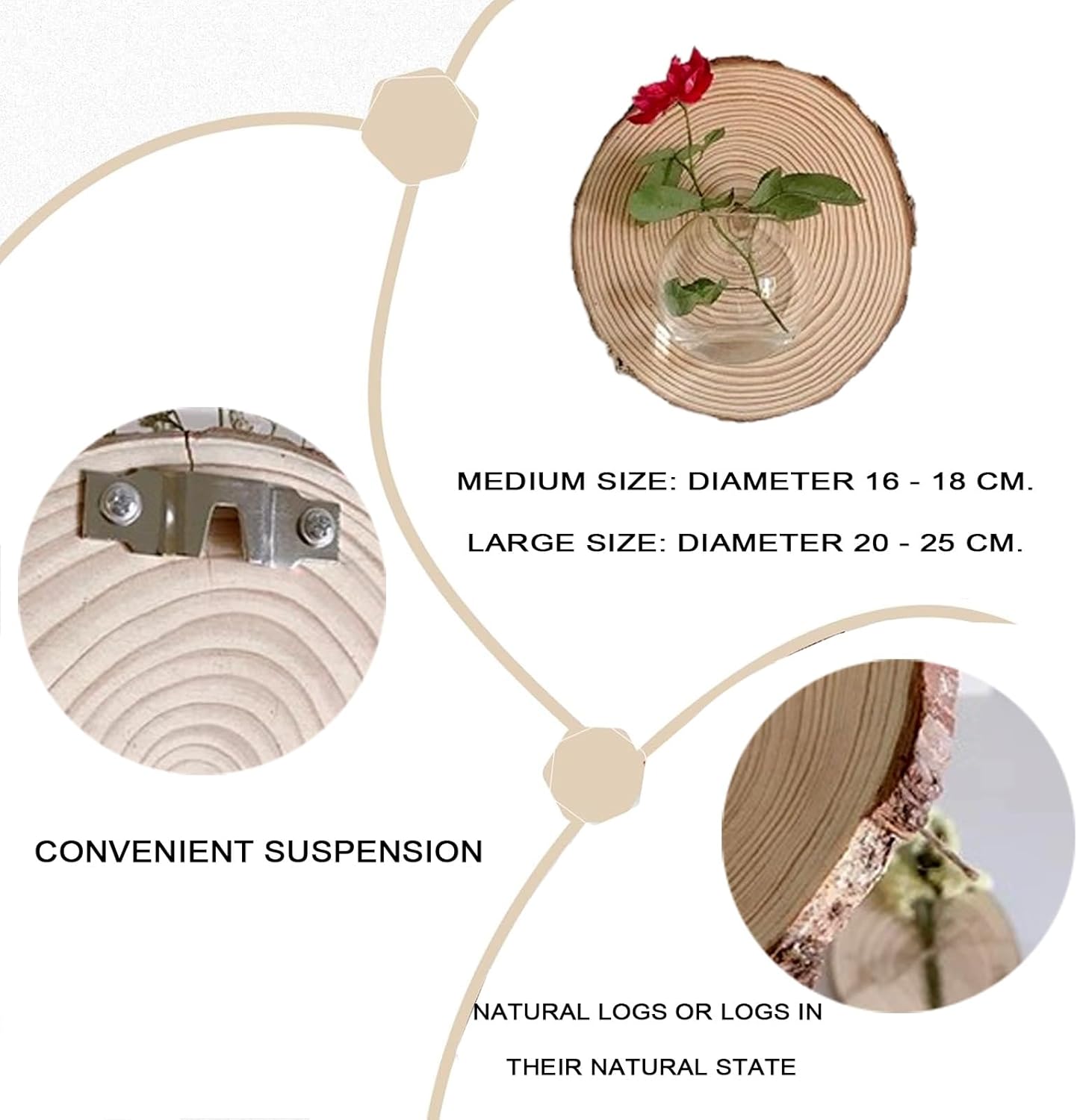 Kitchen Wall Decor Plant Propagation Stations Wall Hanging Test Tubes Live houseplants Indoor Plants Wall Decor Room, for insite Glass Terrarium Home Office Decorations Vase Plant Holder(Large)