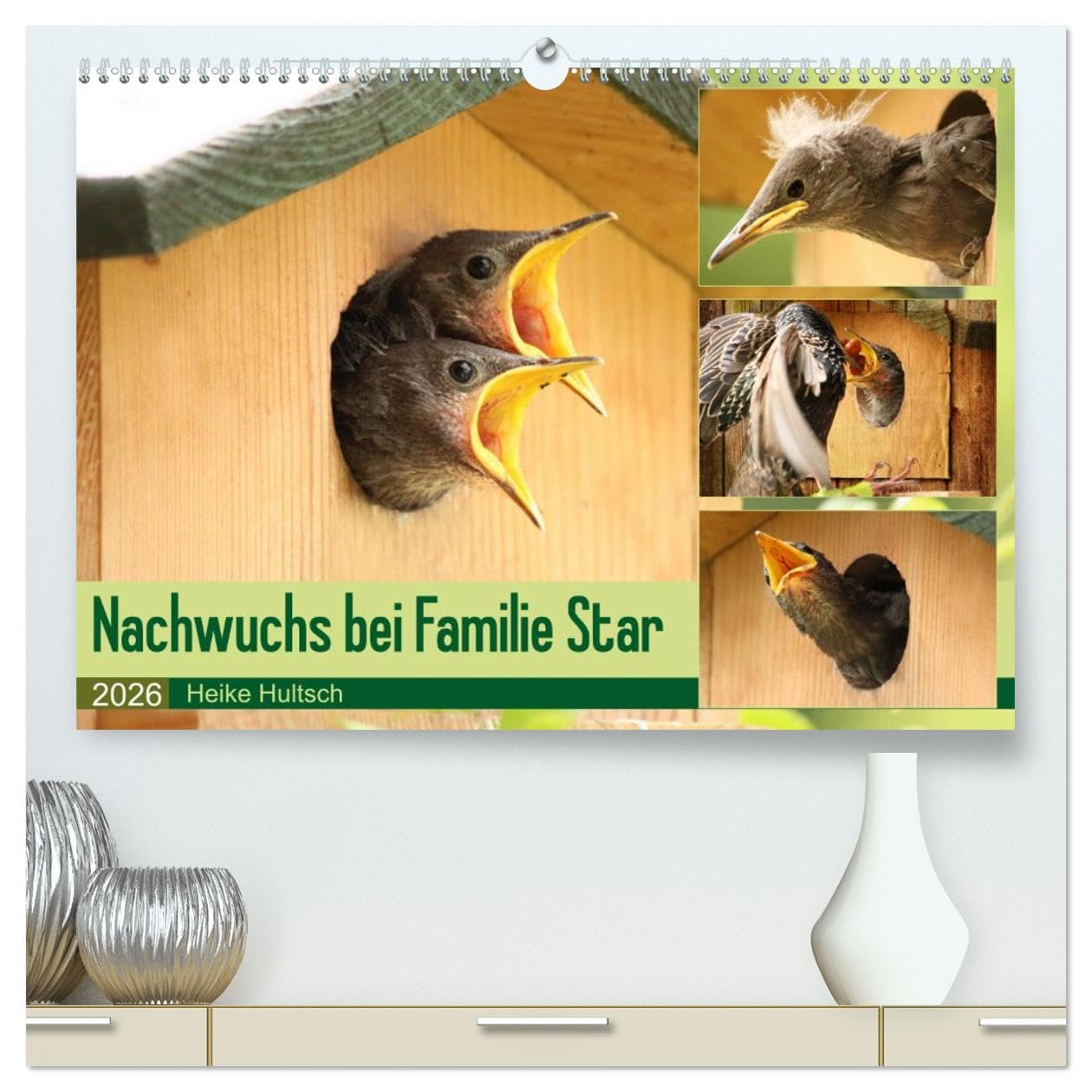 Nachwuchs bei Familie Star (hochwertiger Premium Wandkalender 2026 DIN A2 quer), Kunstdruck in Hochglanz: Brutzeit der Stare (CALVENDO Tiere)