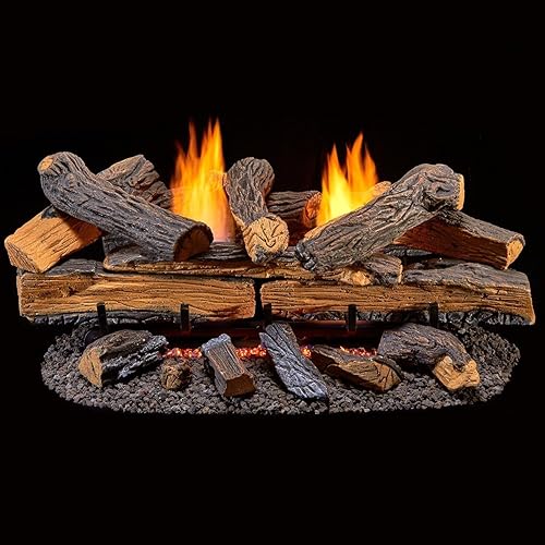 Vista 24 de Duluth Forge DLS-30R-1 Juego de troncos de chimenea sin ventilación de combustible dual con control remoto, uso con gas natural o propano líquido