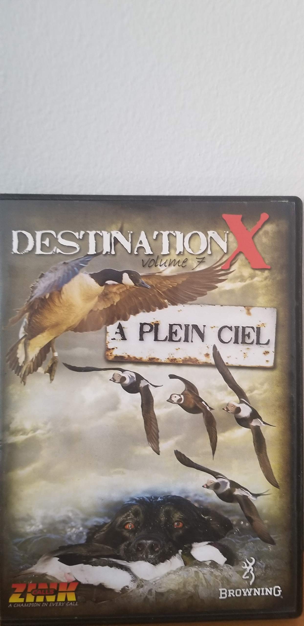 Destination X volume 7 à plein ciel [DVD]