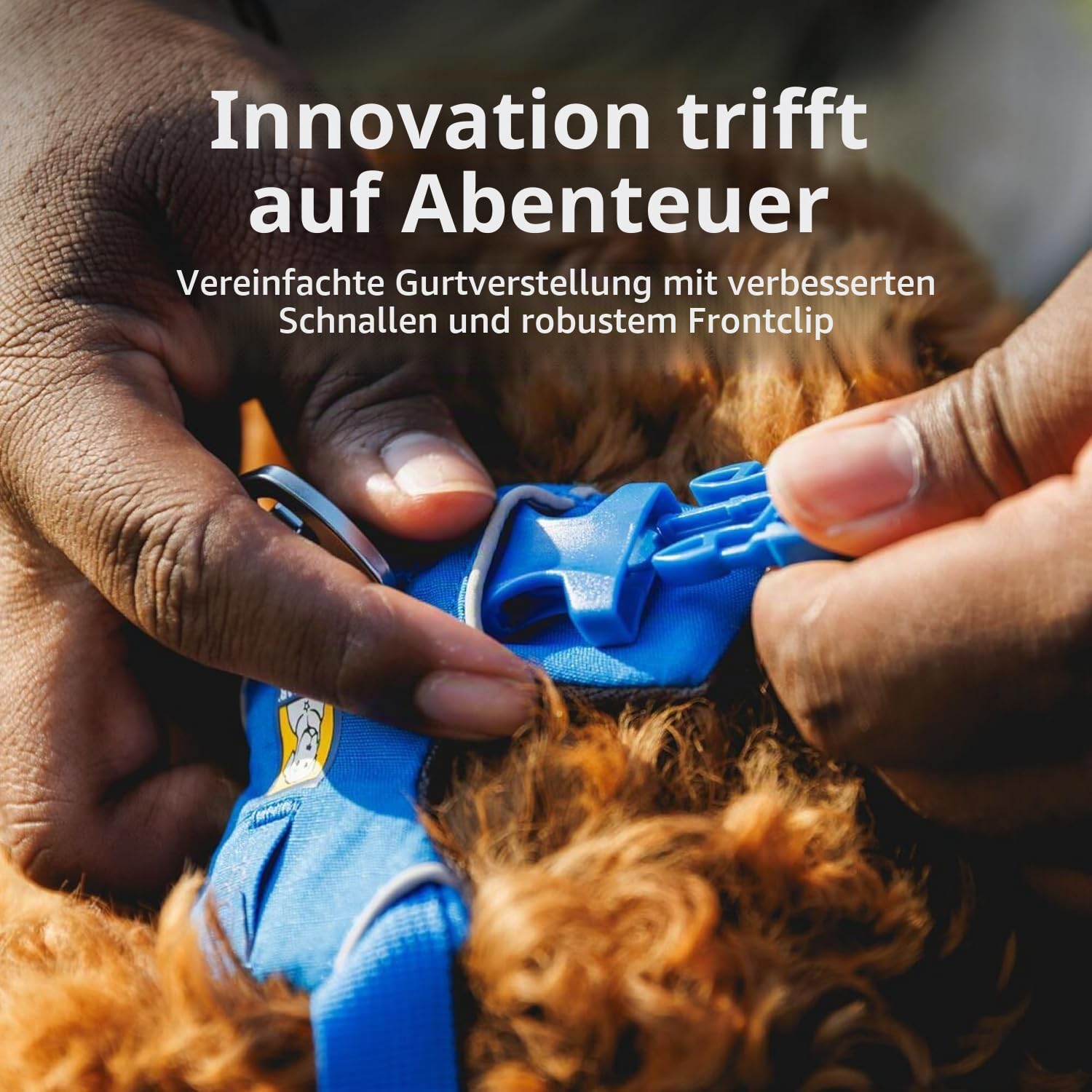 Ruffwear Front Range Hundegeschirr, reflektierendes Y-Geschirr, verstellbares, bequem gepolstertes Alltagsgeschirr für Spaziergänge und Hunderennen, 2 Leinenbefestigunge, Coastal Mountains XS
