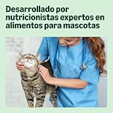 Ver la foto 4