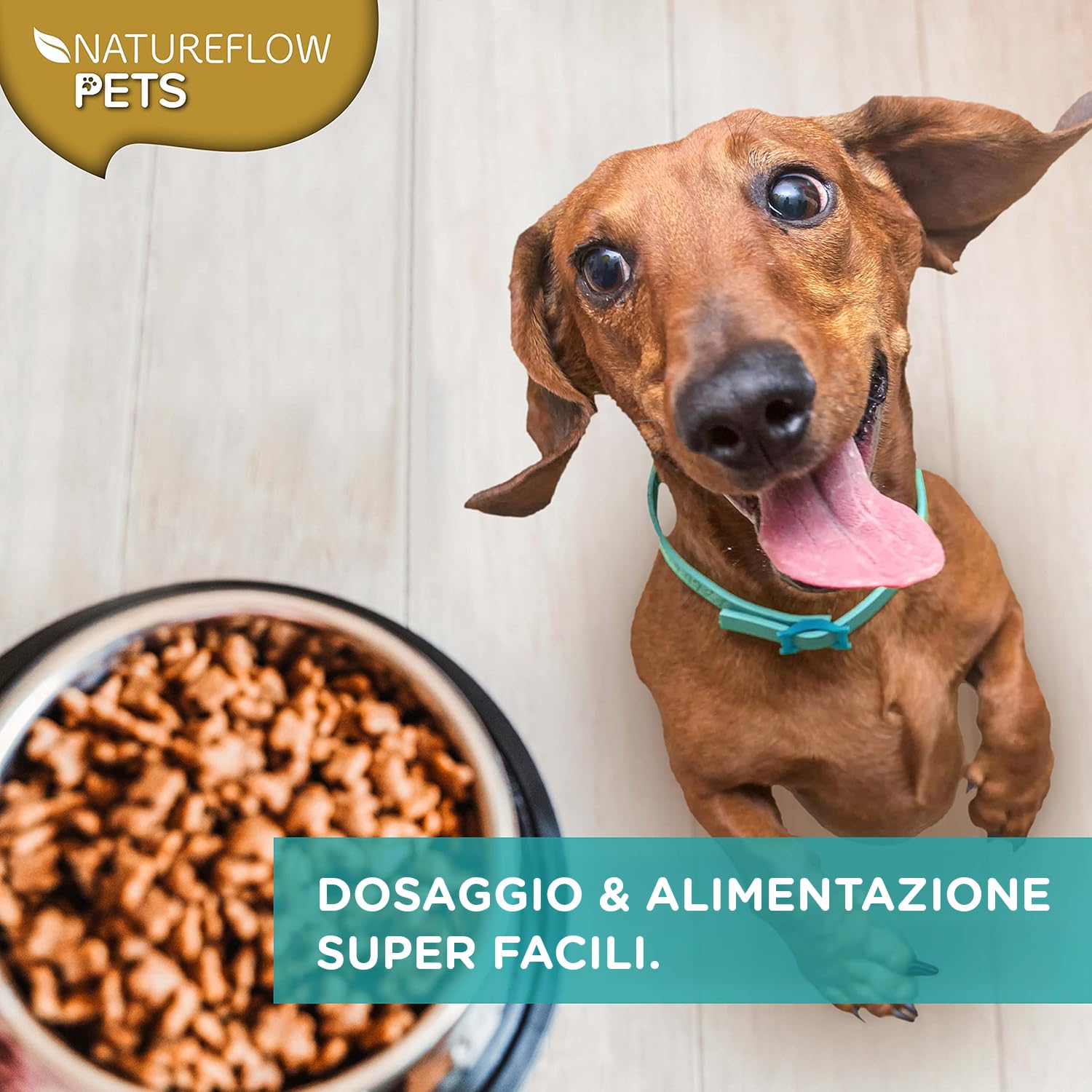 Polvere di cozza verde per cani – Integratore naturale con glucosamina, green lipped mussel 500g, supporto articolare, cozza verde cani, benessere e mobilità