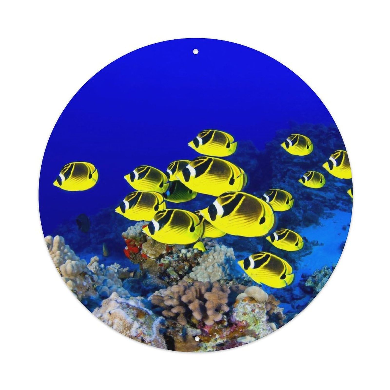 Tropical Fish Coral Reef Underwater Wildlife Metal Tin Sign