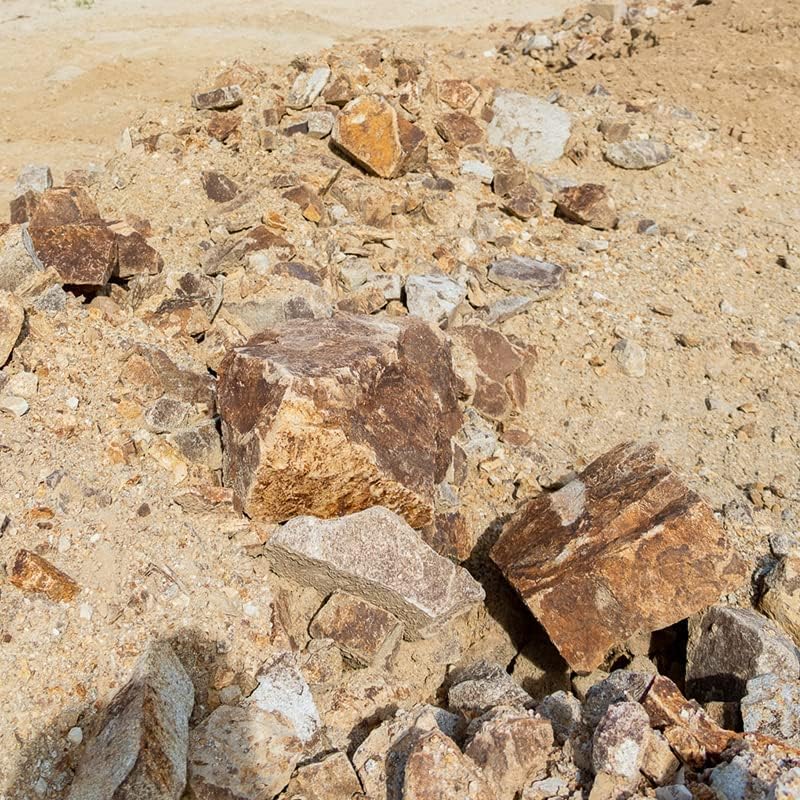 Amazon.co.jp: 約22kg増量中 レッドストーン200-300mm 愛知県産