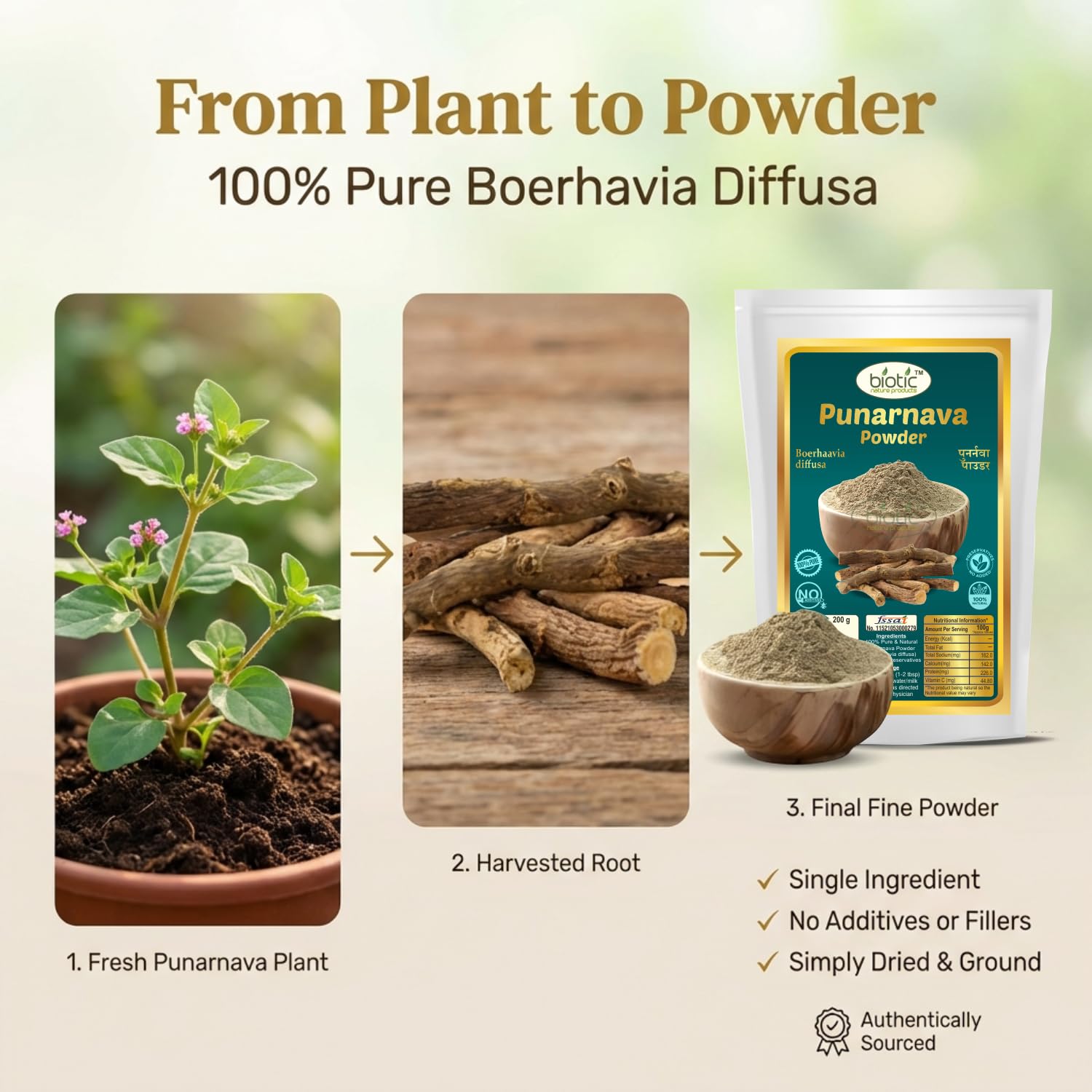 Biotic Natural Punarnava Powder - Boerhavia diffusa - Punarva Churna - 100 gm — Amazon image 2