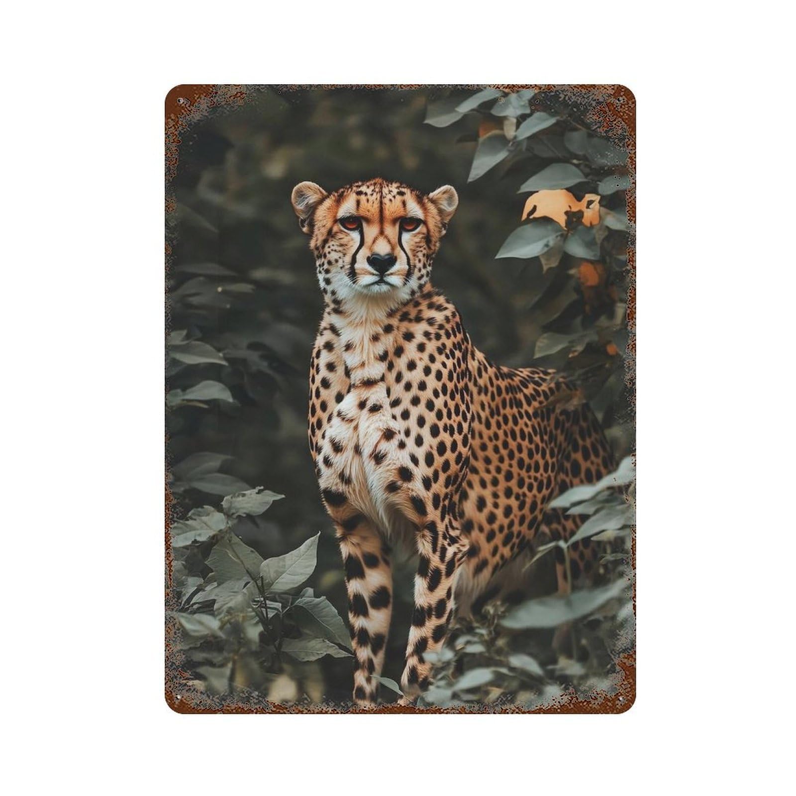 xiaoxiaoshen Cheetah Print, Photography Prints Wall Decor Art Metal Tin Poster Modern Home Decor Art Home Bar Shop Decorations Vintage Sign 40x30cm