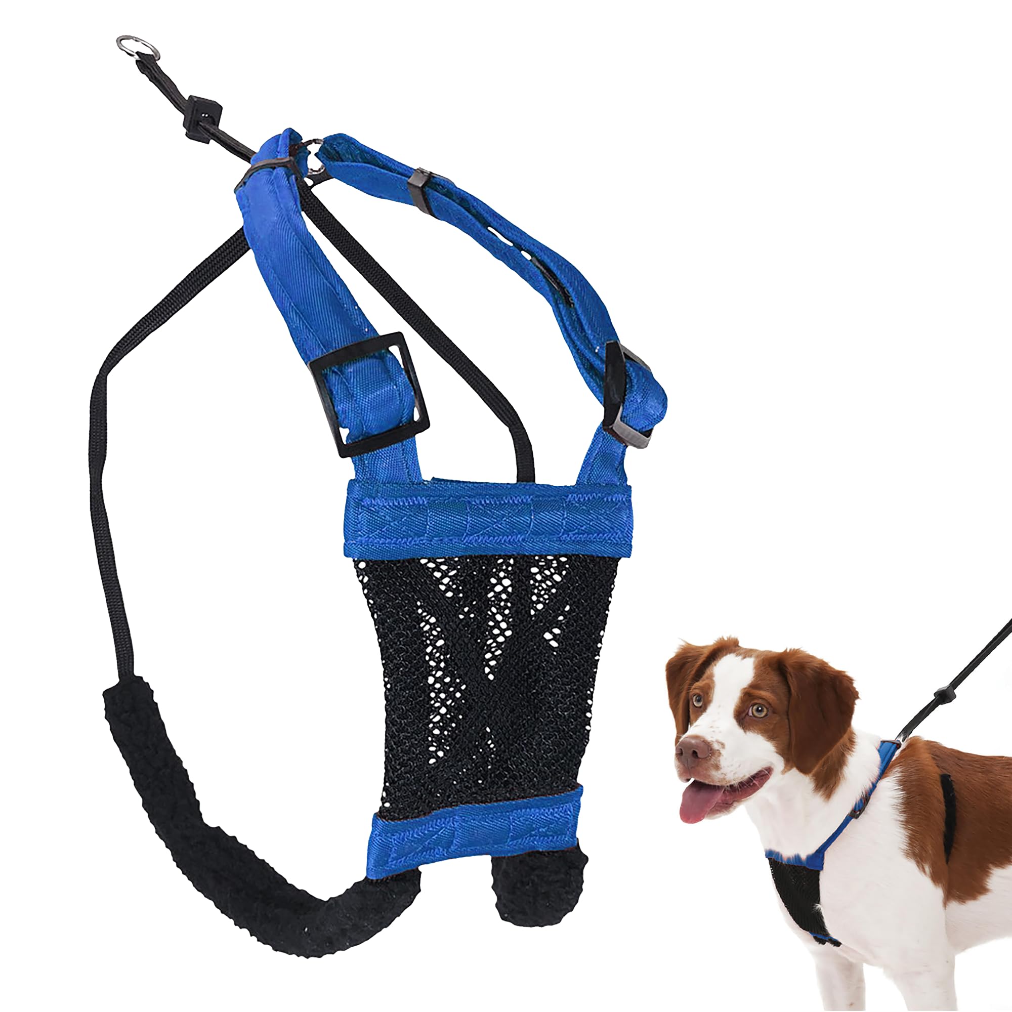 Sporn No Pull Dog Harness