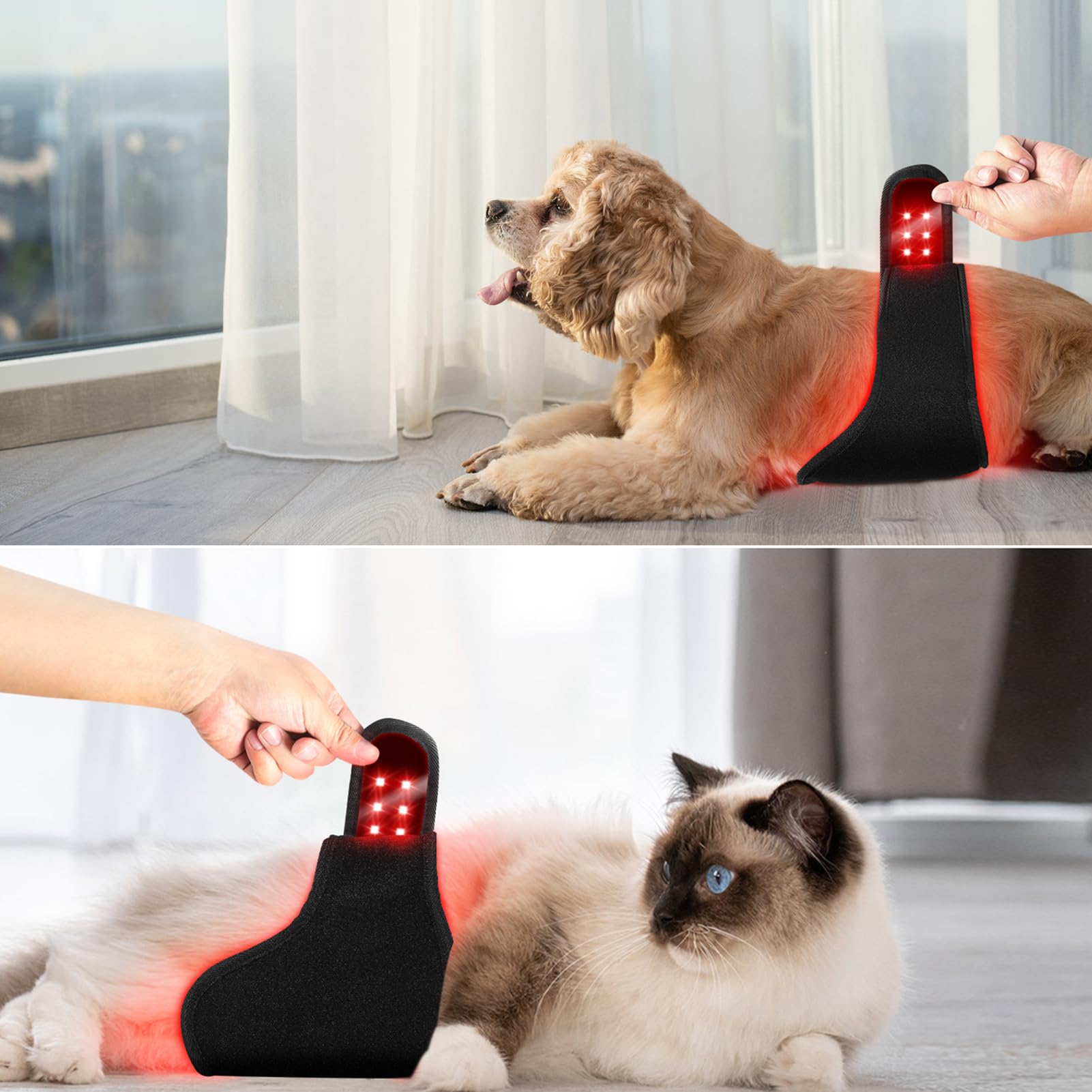 Dispositivo de Terapia física con luz roja, Longitud de Onda de 660 NM + 850 NM, Dispositivo portátil de Terapia con luz infrarroja, para la recuperación del Abdomen, glúteos