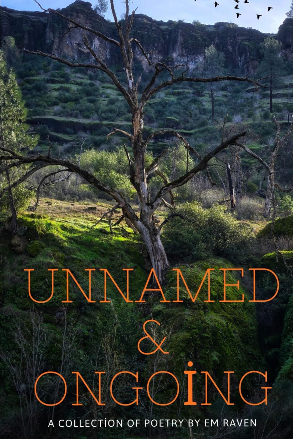 Unnamed & Ongoing