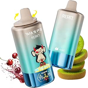 Waspe & REMIT 電子タバコ 使い捨て 100000回 吸引可能
💰4280円 → 3852円