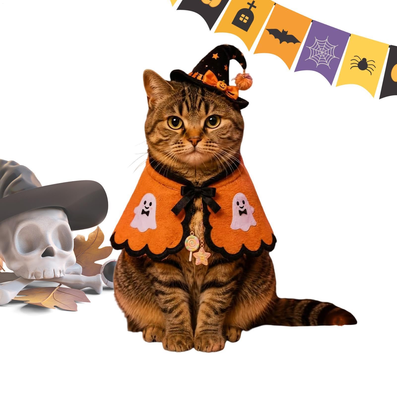 Disfraz de Halloween para gatos ideal para sesiones de fotografía al aire libre