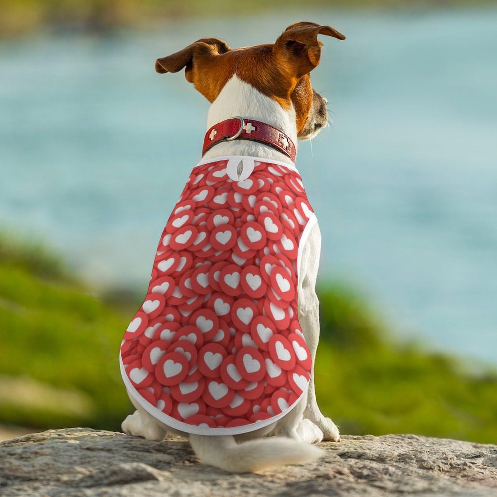 にゃんたろう様専用犬服ハンドメイド にゃんたろう様専用犬服