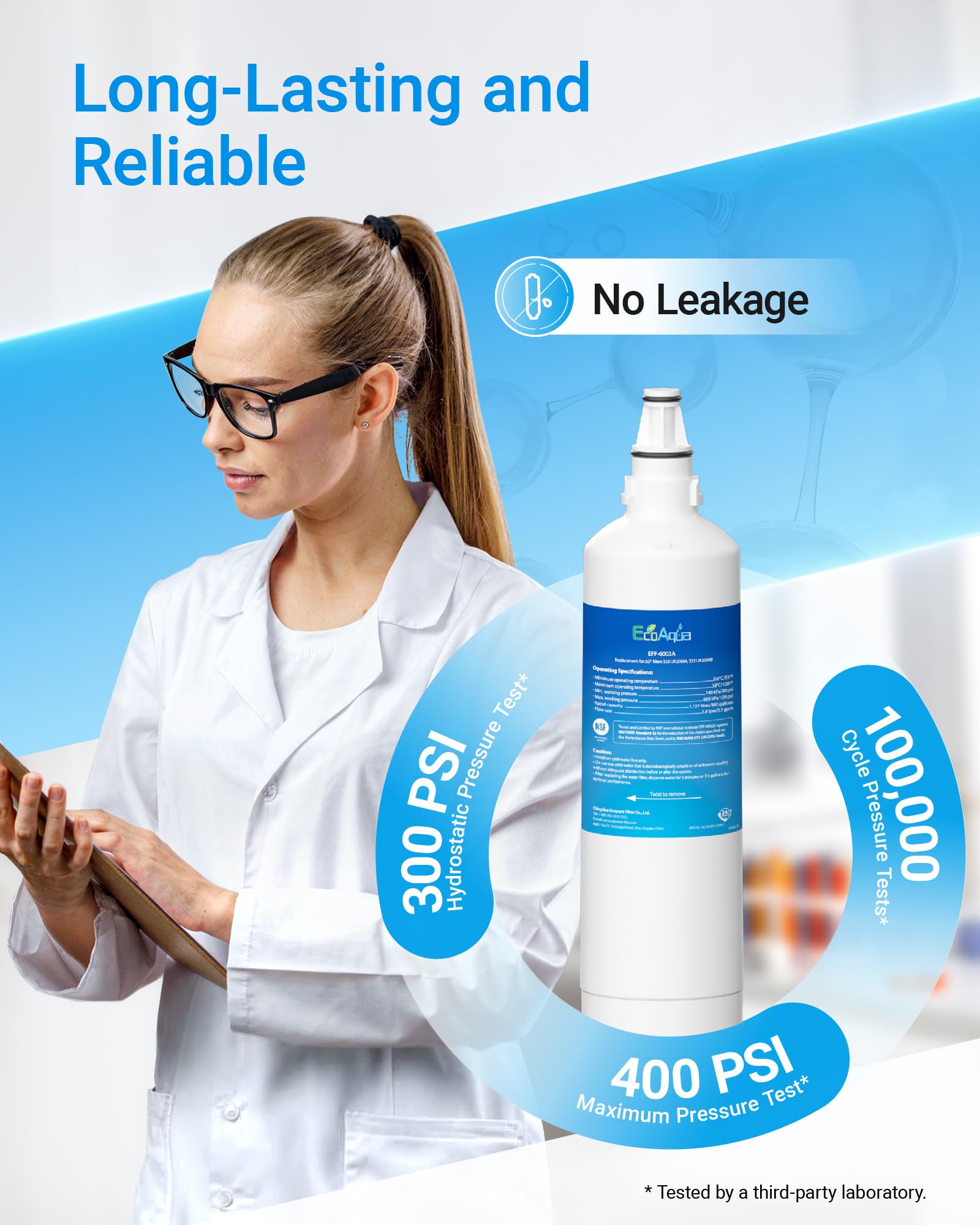 Amazon.com: EcoAqua 5231JA2006A Refrigerator Water Filter