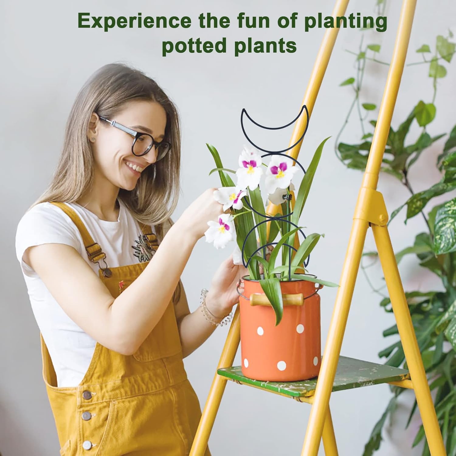 Indoor Plant Trellis