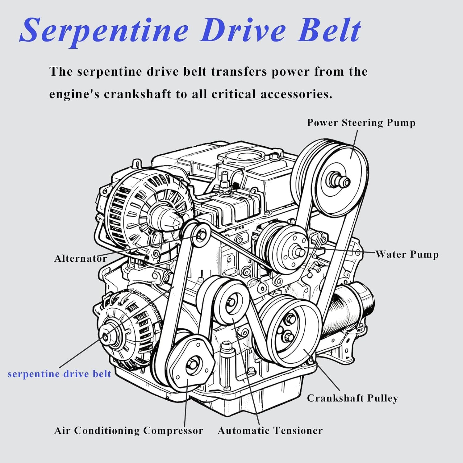 AUCERAMIC Engine Serpentine Drive Belt Fit for Acura TSX 2.4L 2004-2008, for Honda CR-V 2.4L 2007-2009, for Nissan Cabstar NP300 NP300 Frontier 2.5L Replace# K070690 38920RBBE02