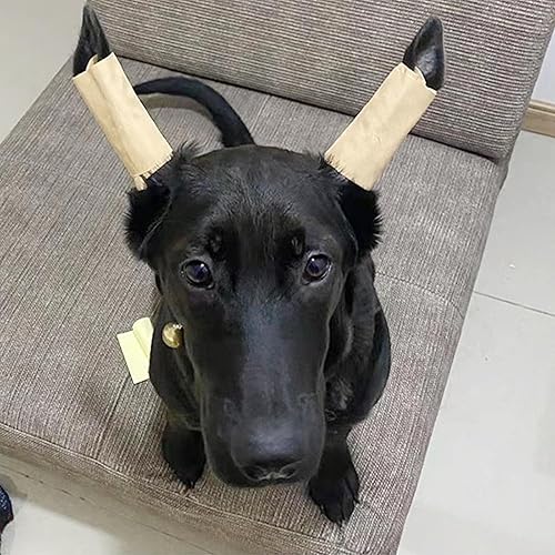 Miniatura 6 de Herramienta de soporte para orejas de perro, corrección fija de oído, soporte vertical para corrección de orejas de perro, herramienta de parche