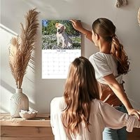 Vista 628 de Razas de Perros 2017