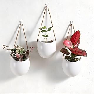 Set of 3 Ceramic Wall Planters for Small Plants & Artificial Greenery, Wall Decor for Bathroom Living Room Kitchen Bedroom Corridor Office