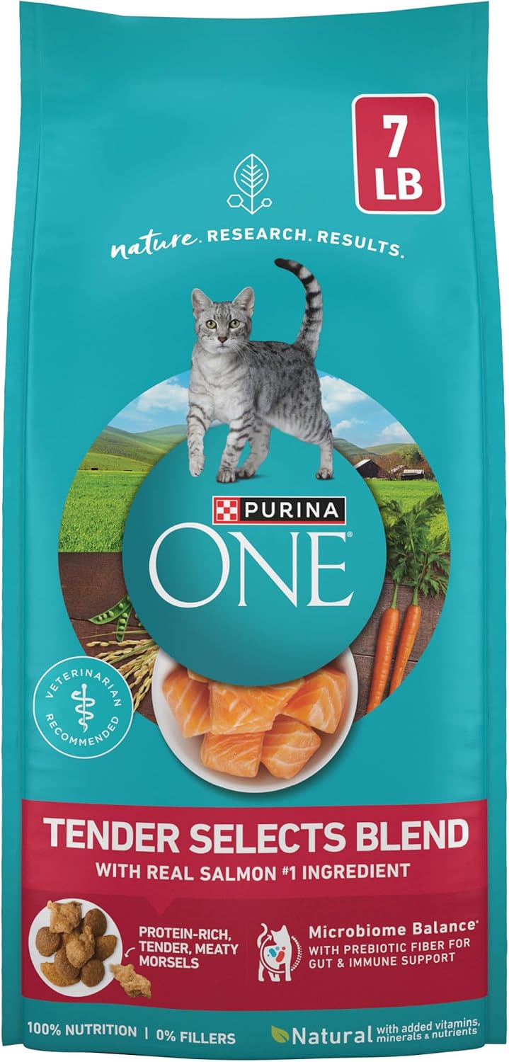 Purina ONE Tender Selects Salmon Dry Cat Food 7 lb - Deal