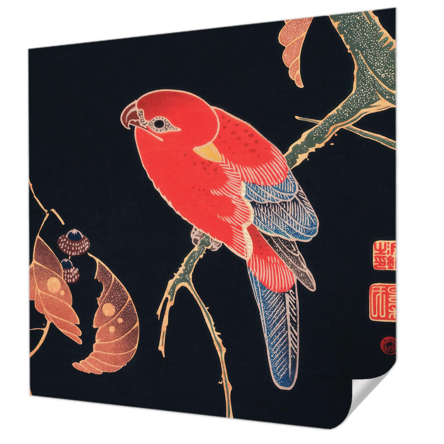 Papier peint photo autocollant oiseau exotique 250x250 cm Tulup