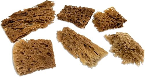 Miniatura 10 de Lullingworth - Esponjas sintéticas y marinas naturales  Varios tamaños paquete económico de 7 piezas para manualidades y artistas ideal para pintura