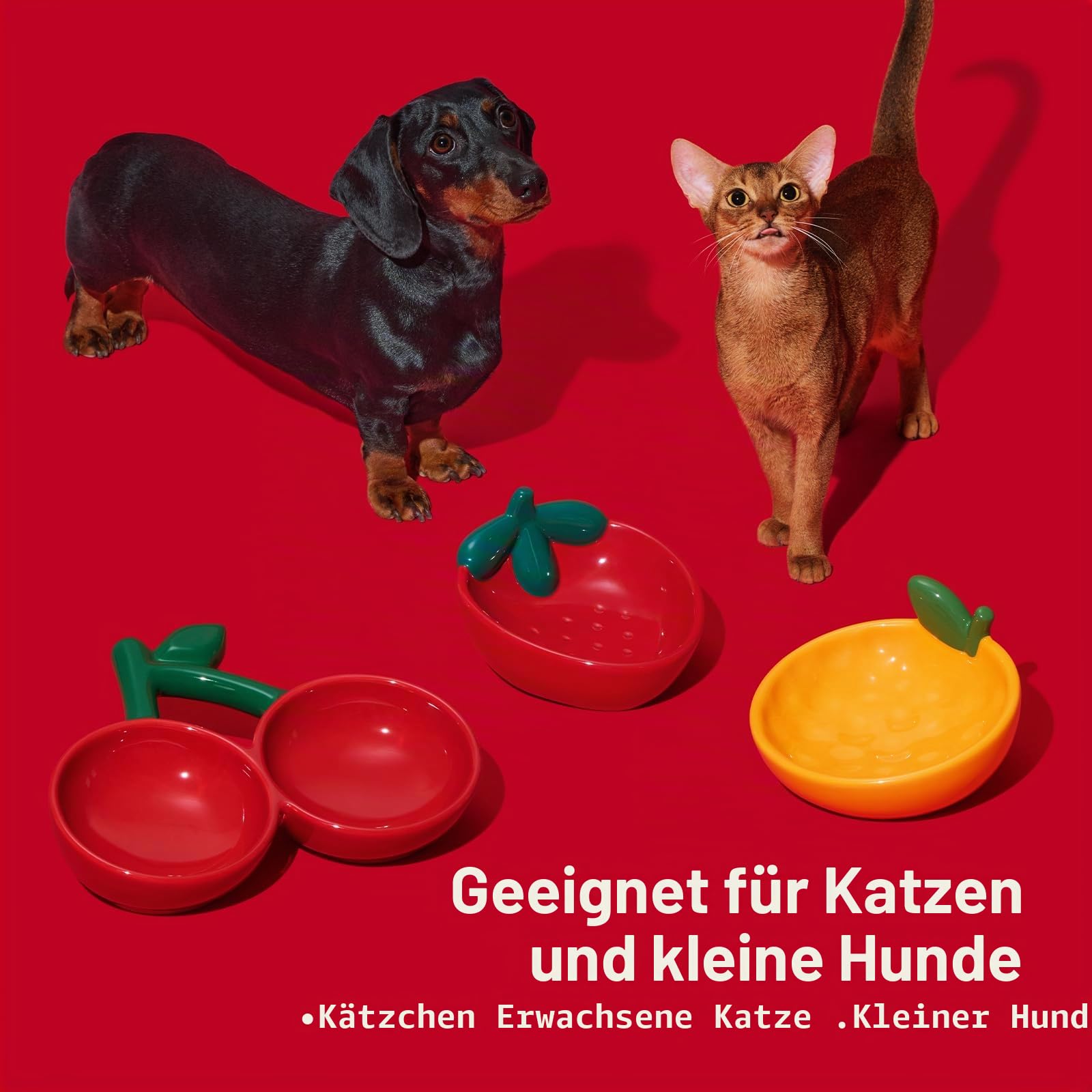 VETRESKA Futternapf aus Keramik, geneigtes Design, Futterspender für Futter und Wasser | Katzennäpfe gegen Erbrechen für Indoor-Katzen, niedlicher Mandarinen-Katzennapf, spülmaschinenfest