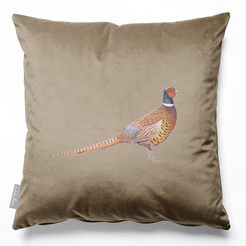 Izabela Peters Pheasant - Taupe Eco-Friendly Velvet Cushions - Filled, 50 Cm, Chair & Sofa Seat Cushions