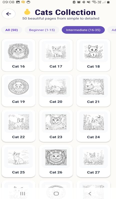 Cats Coloring Book — view 2