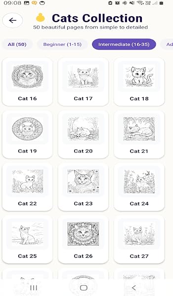 Cats Coloring Book - 2