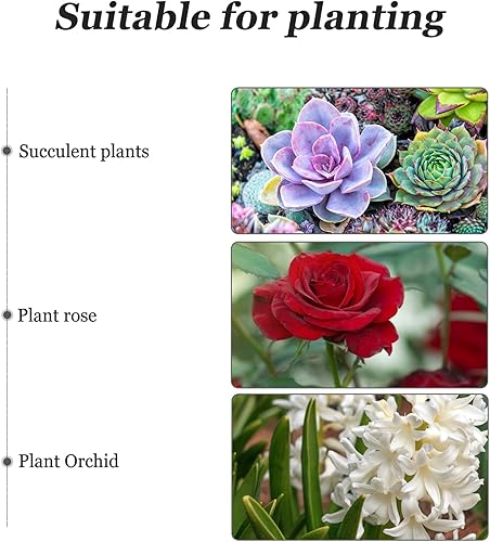 Miniatura 7 de DOITOOL Maceta rústica de madera en barril: cubo de madera para whisky, macetas para plantas de interior y exterior, contenedor para el hogar,