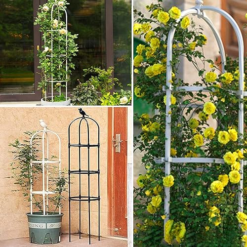 Miniatura 4 de Enrejado de jardín para plantas trepadoras, tubo de metal inoxidable con soporte resistente de 6 pies, soporte para plantas en maceta para jardín y
