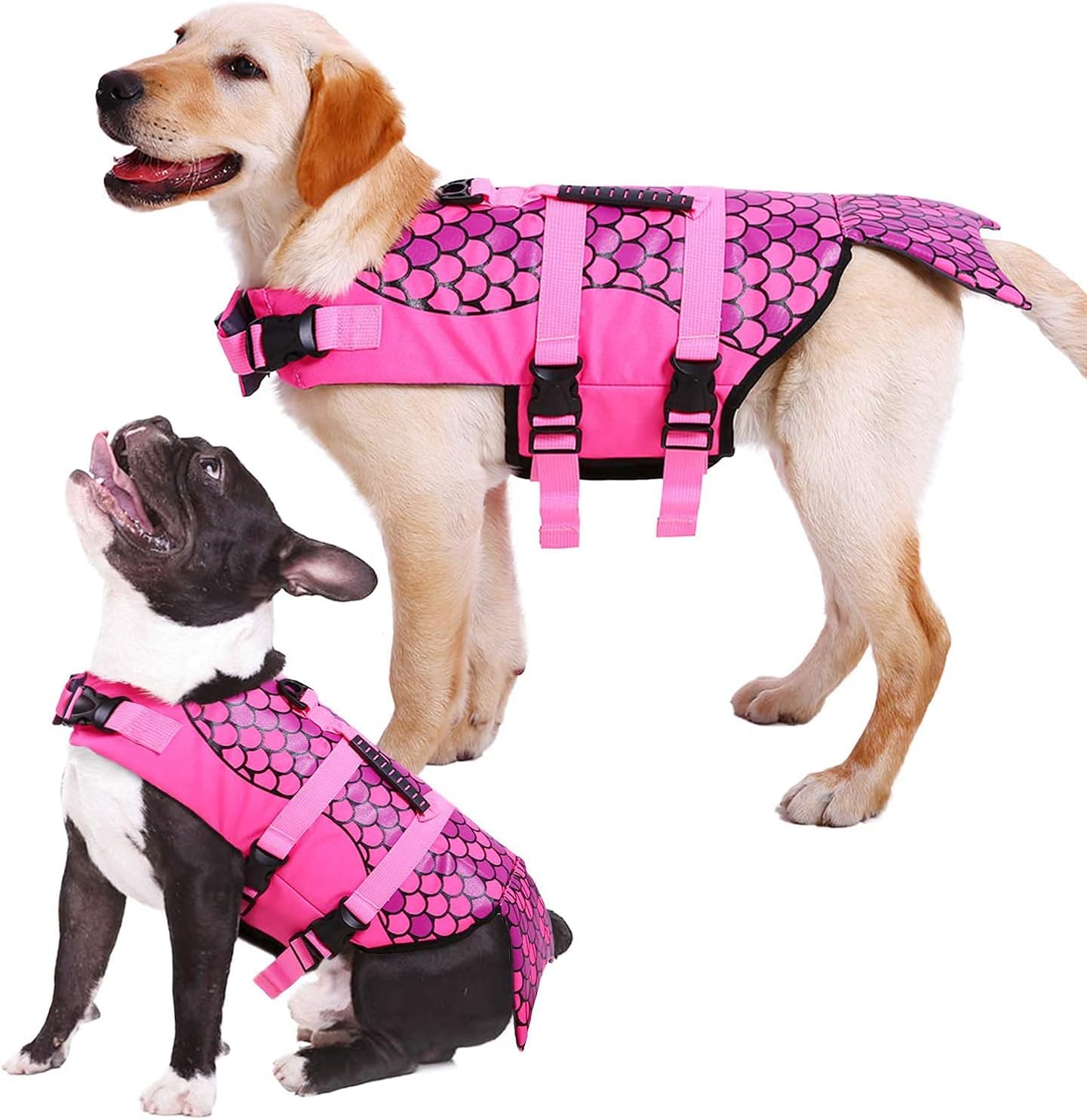 dog swimsuits cheap