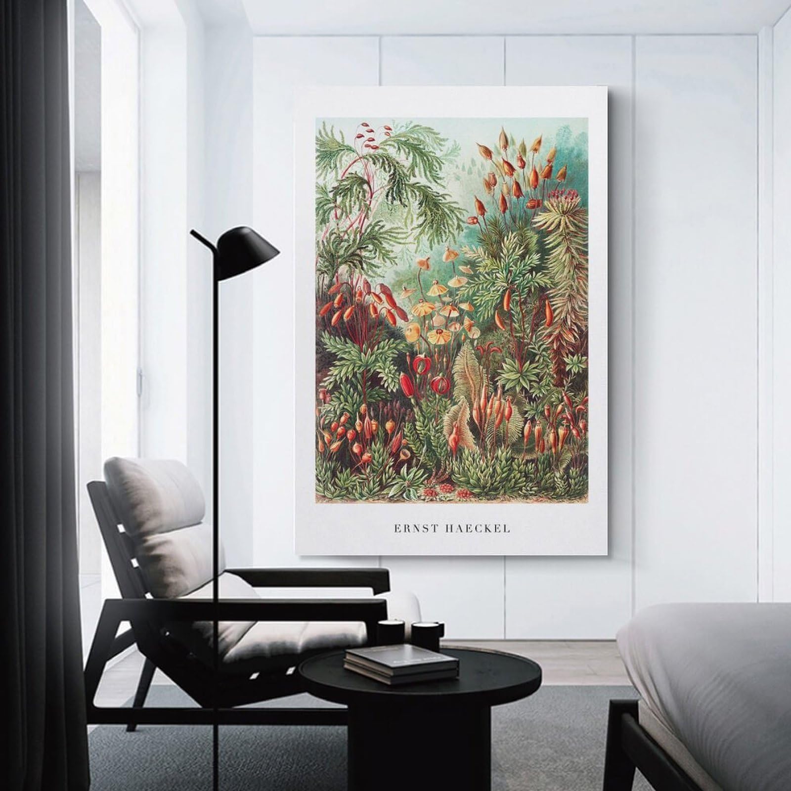 Junmoney Canvas Wall Decor Botanical Illustration by Ernst Haeckel, 16x24inch(40x60cm), for Flats, Guest Rooms Or Compact Rooms, A Simple Refresh for Blank Walls