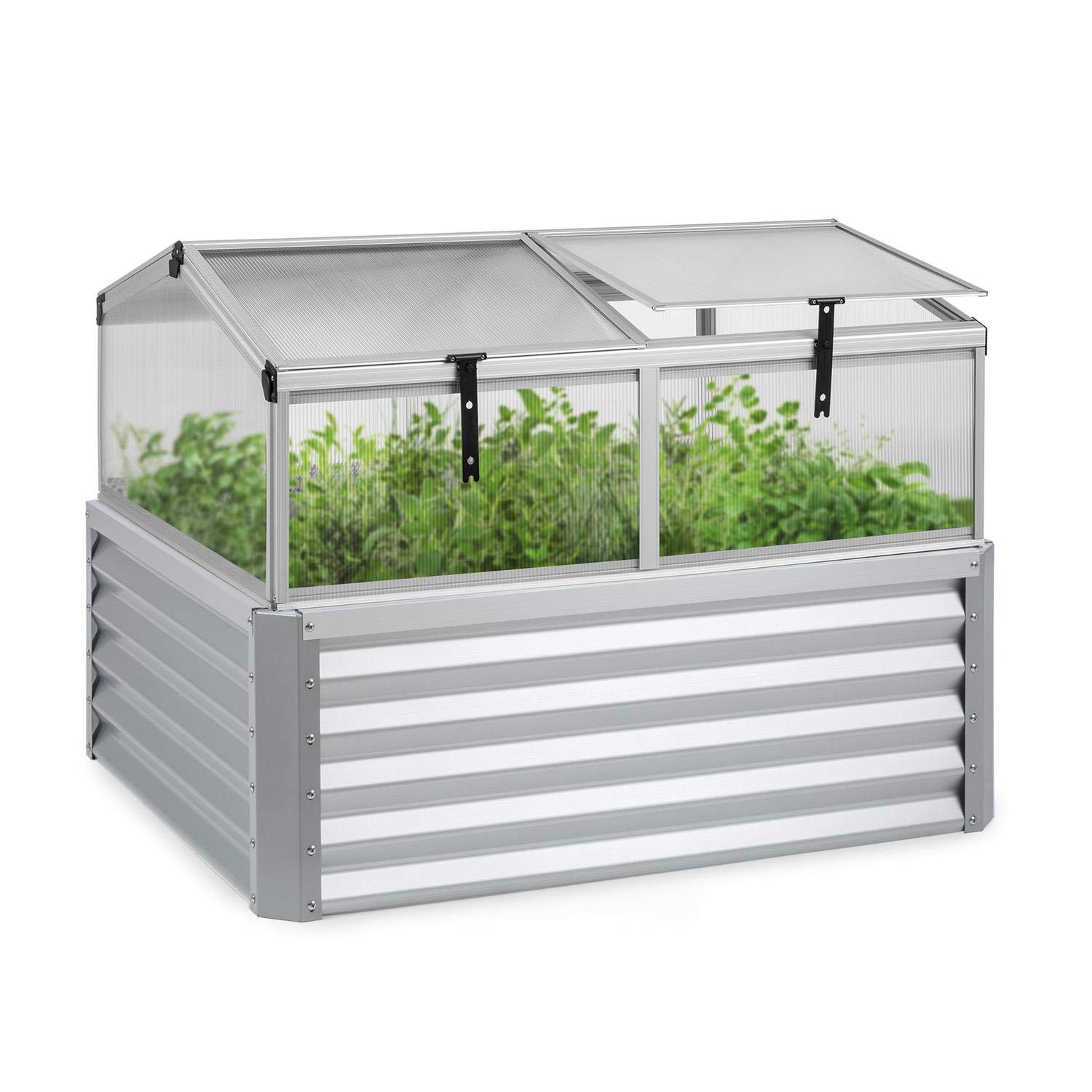 Buy blumfeldt High Grow Advanced Raised Bed with Roof, Garden Bed