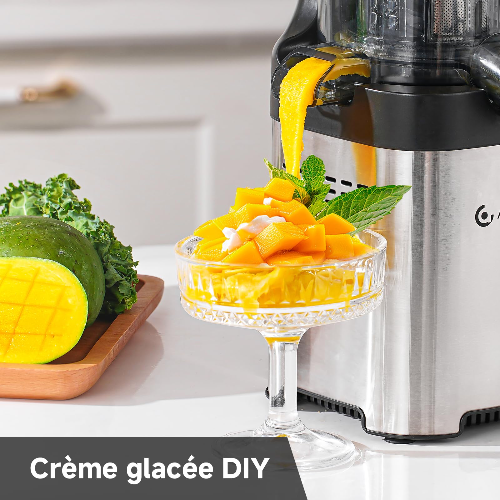 AMZCHEF 120MM Slow Juicer Machine à Jus de Fruits et Légumes Extracteur Vertical Argent