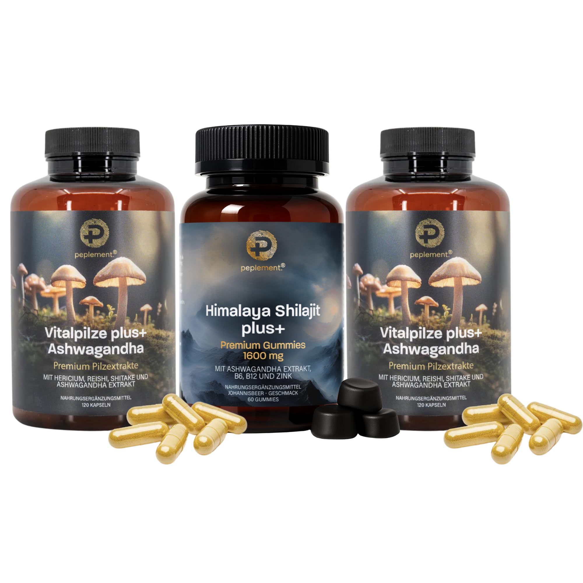 Vitalpilz & Shilajit Bundle – 2x Mushroom Complex (Lions Mane, Reishi, Shiitake) + 1x Himalaya Shilajit Gummies mit Ashwagandha & Zink | Hochdosierte Fulvinsäure & Polysaccharide | Vegan