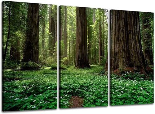 Miniatura 14 de Lienzo de 3 piezas de impresiones artísticas para pared, cuadro de paisaje de selva tropical, selva tropical, cuadros enmarcados, pintura de pared,