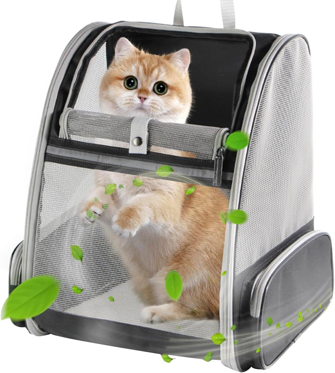 Upgraded Cat & Small Dog Backpack Carrier: Airline Approved, Breathable Design for Travel & Outdoor Adventures