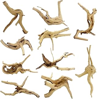 10 Pcs Natural Small Spiderwood for Aquarium, Aquarium Driftwood Freshwater 4-6 Inch, Assorted Size Spider Wood, Twisted Branches for Fishtank Accessories, Reptile Terrariums Decorations