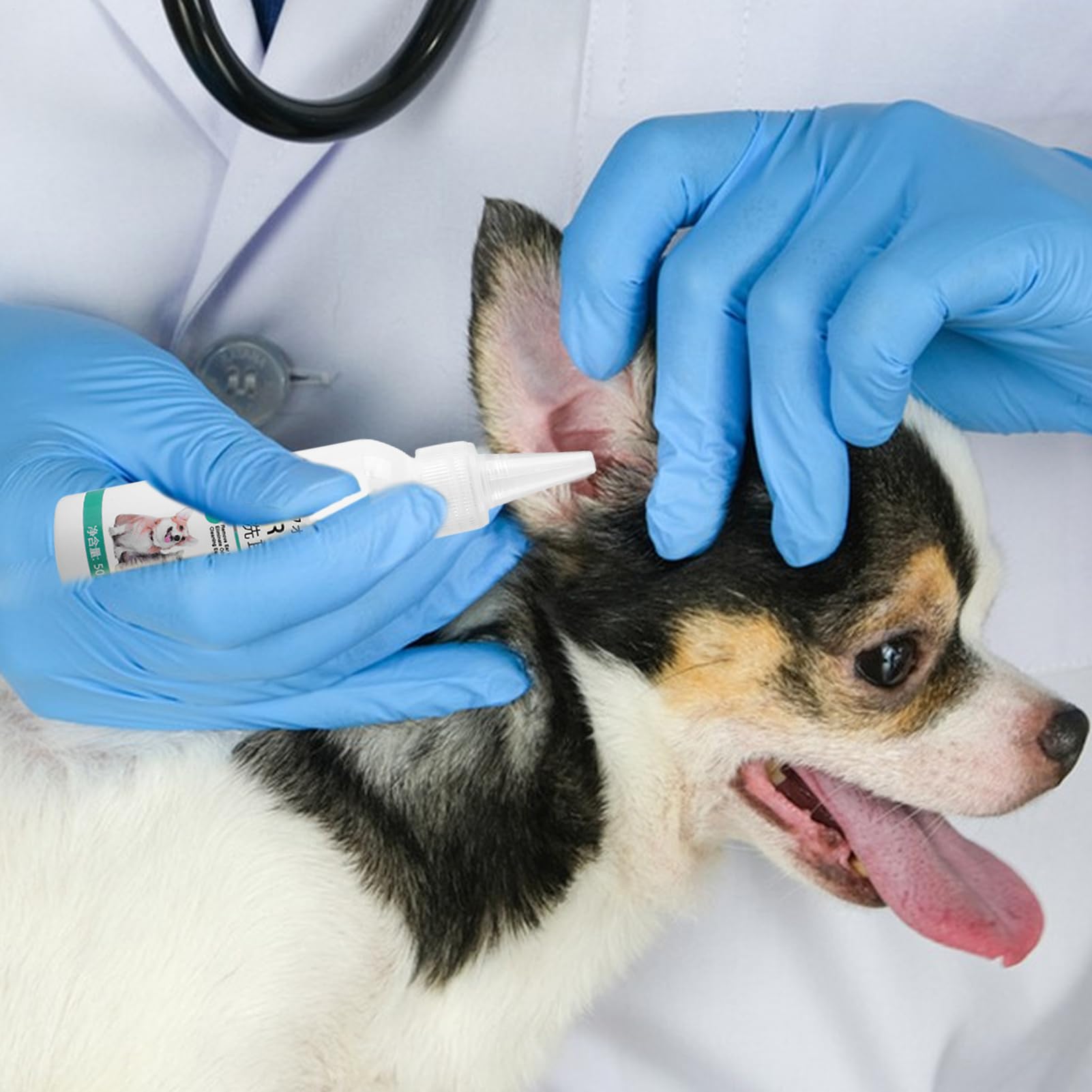Cansuna イヤードロップ（犬用） Amazon | 犬用イヤードロップ、犬用耳クリーナー - かゆみ止め犬用耳薬