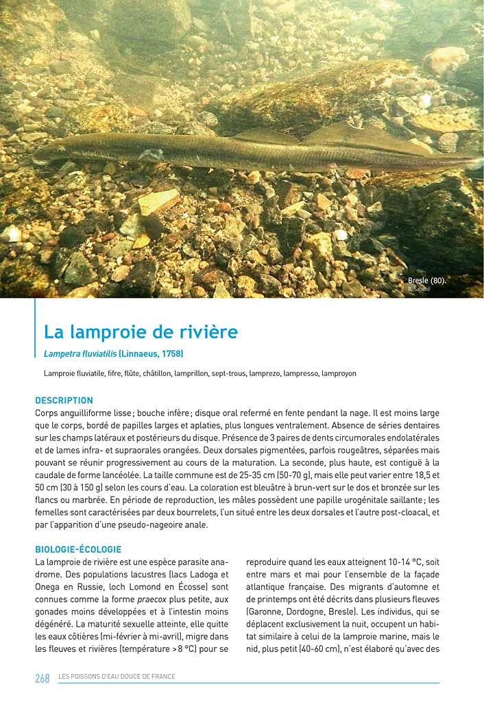 Les poissons d'eau douce de France