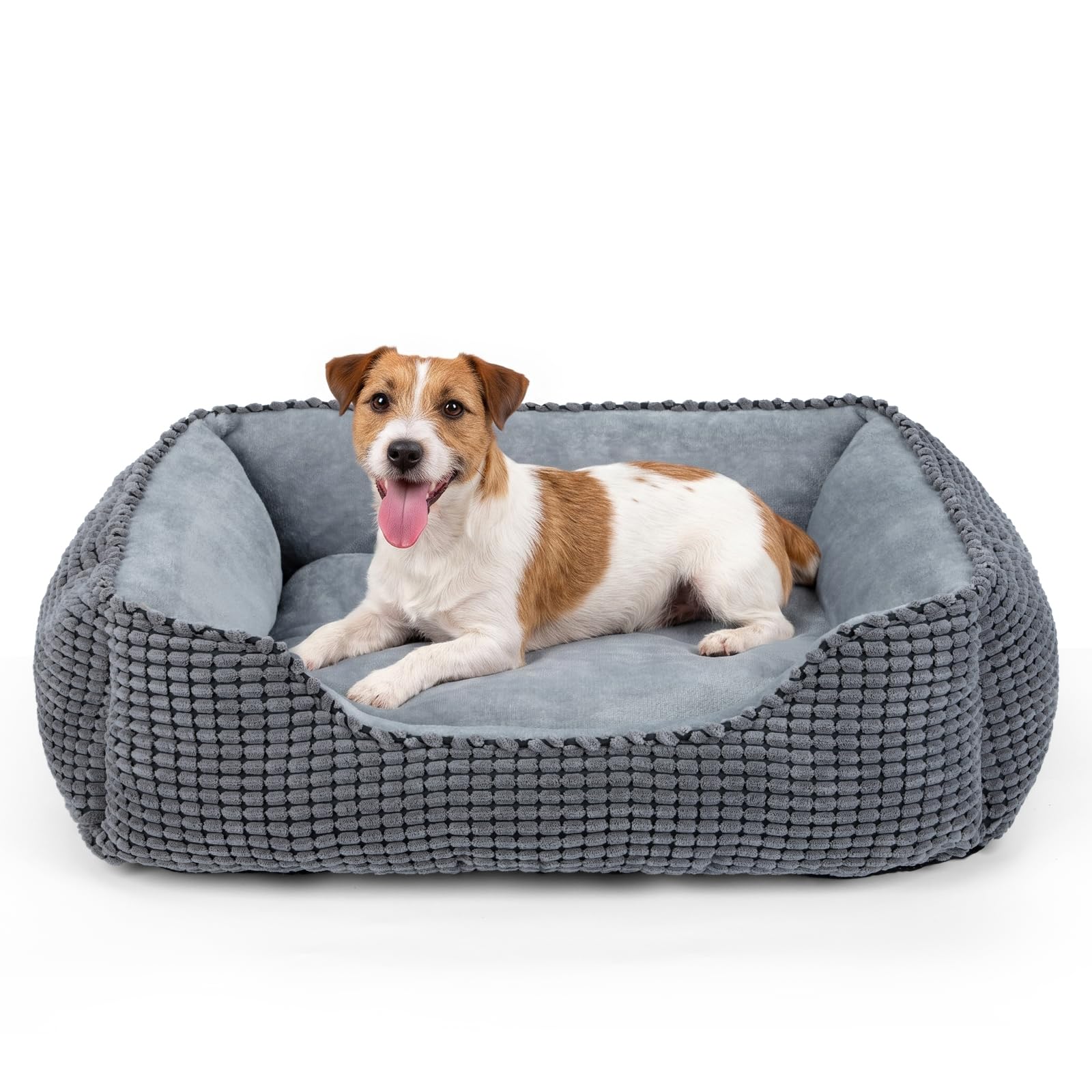 JOEJOY Cuccia Cane Interno Media, Cuccia per Cani Lavabile, 63x53x20cm | Cuccia Cane Anti-Ansia & Supporto, Antiscivolo Lavabile, Soffice, Flanella Morbida & Velluto a Coste Traspirante Durevole