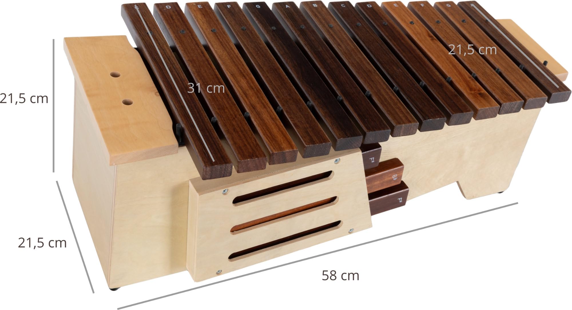Classic Cantabile AX-1600NG Alt-xilofono (Alt Xilofono, 16 toni, scala diatonica in Do maggiore, estensione: c' a a'', cassa di risonanza in tiglio, bacchette) Legno di tiglio