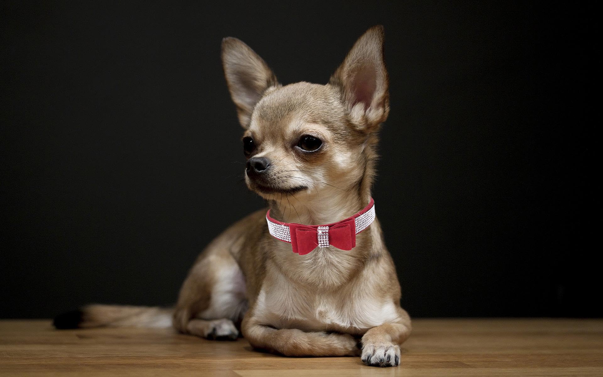 Bowtie Diamante Dog Collar - Image 2