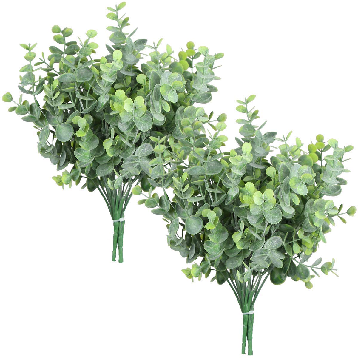 Rinlong Eucalyptus Stems