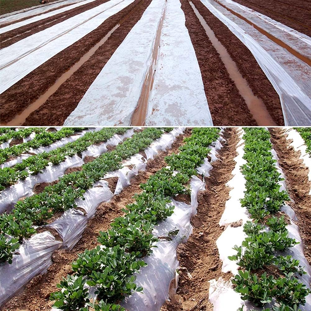 Telo e serra Trasparente 2 x 6m, Protettivo Addensare Resistente agli Strappi, Protezione UV 5, Tela Plastica