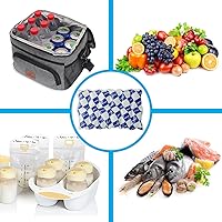 Vista 2 de Paquetes de hielo para enfriar y enviar, paquetes de hielo seco de larga duración para envío de alimentos congelados para envío, hojas de hielo